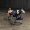 Body-Solid GFID31 adjustable bench flat incline decline black & silver0 leg curl