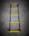 Commercial Agility Ladder